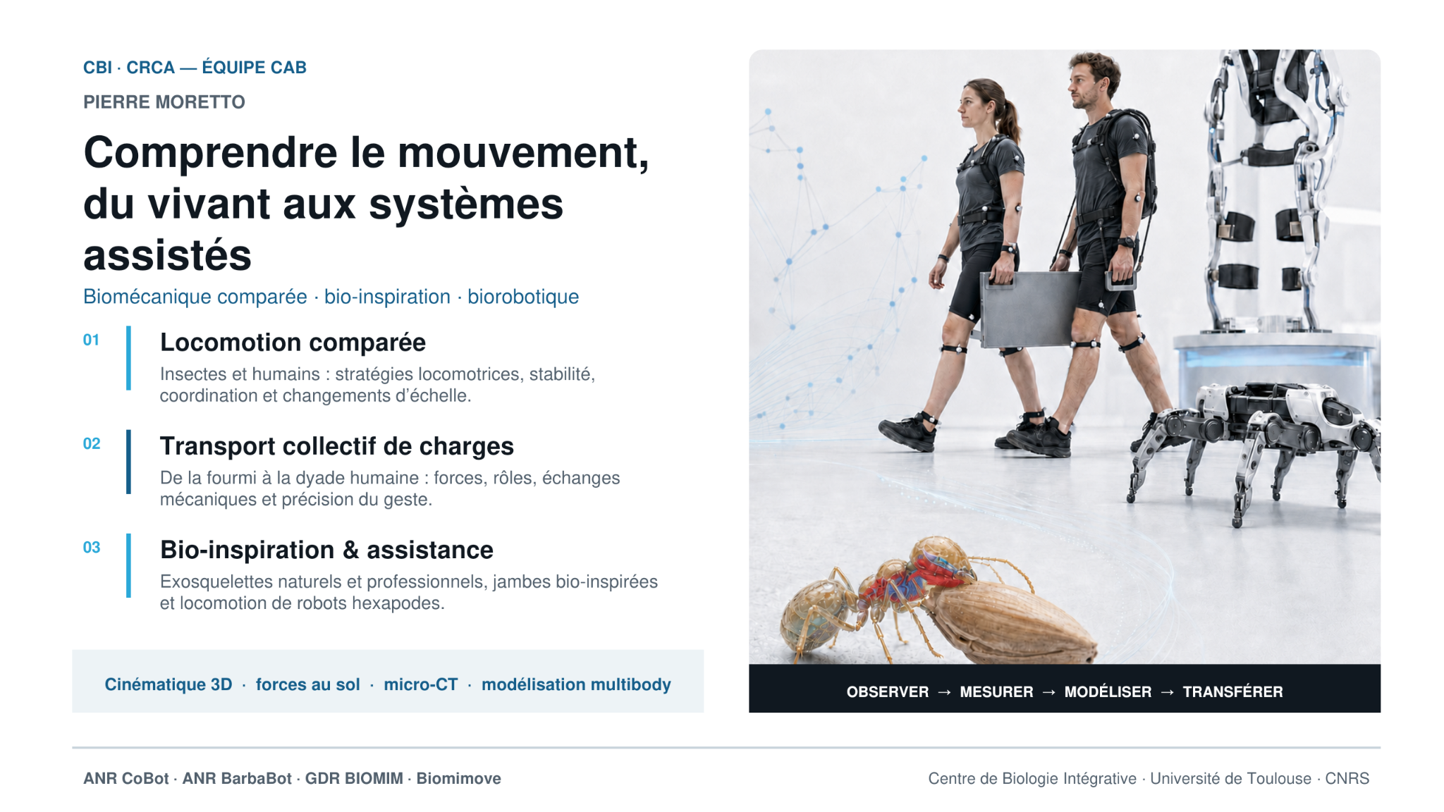 Illustration conceptuelle : portage collectif assisté, exosquelette, robot et fourmi